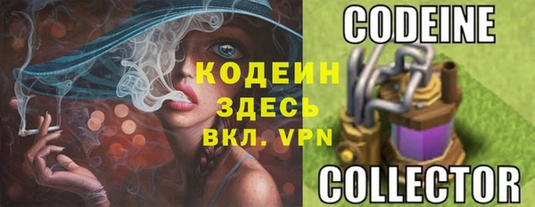 дмт Абаза