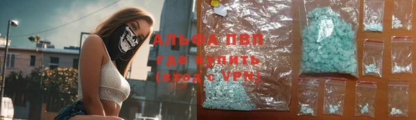 дмт Абаза
