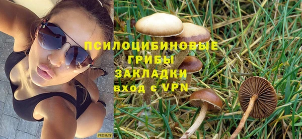 дмт Абаза