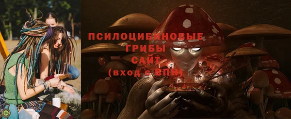 дмт Абаза
