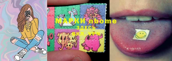 дмт Абаза