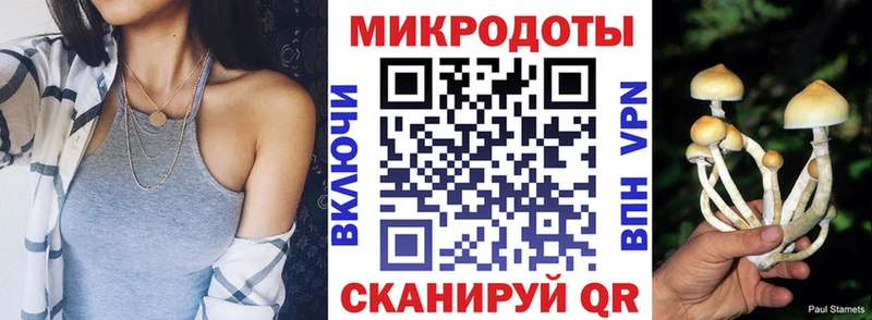 Галлюциногенные грибы Psilocybe  Комсомольск-на-Амуре 