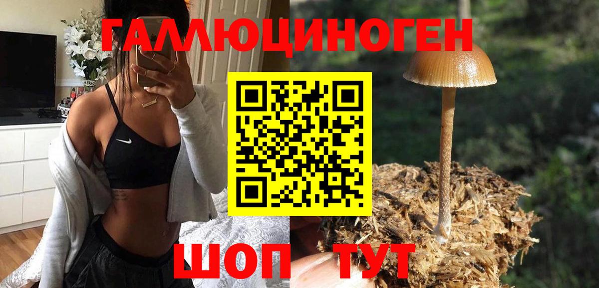 Псилоцибиновые грибы MAGIC MUSHROOMS  Вход с VPN  Комсомольск-на-Амуре 